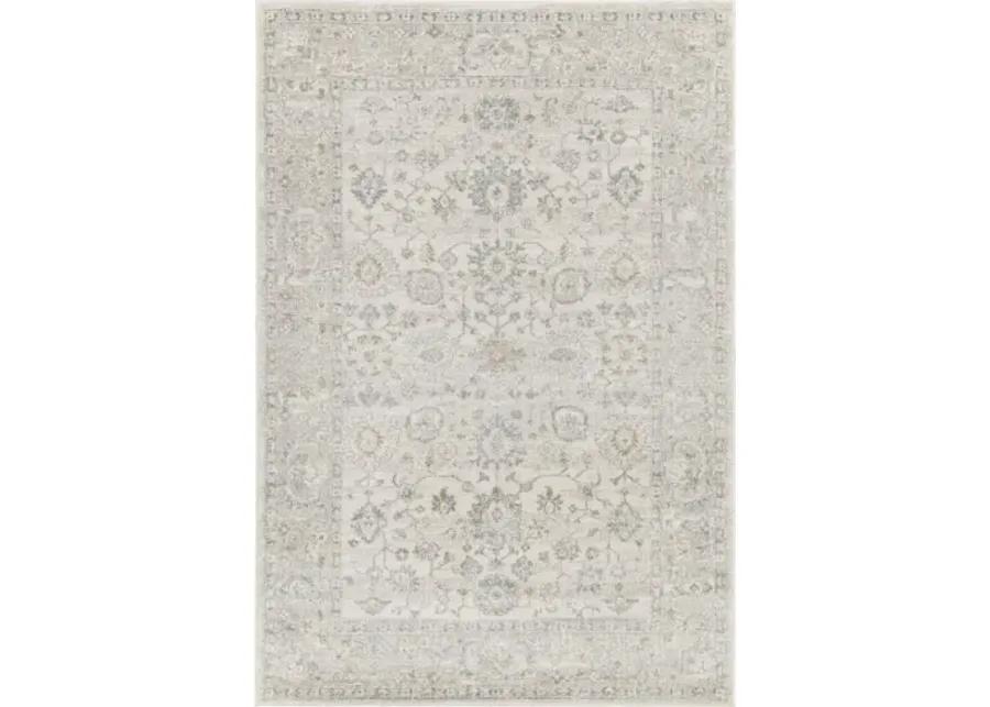 Alpharetta APH-2304 9'2" x 12' Machine Woven Rug