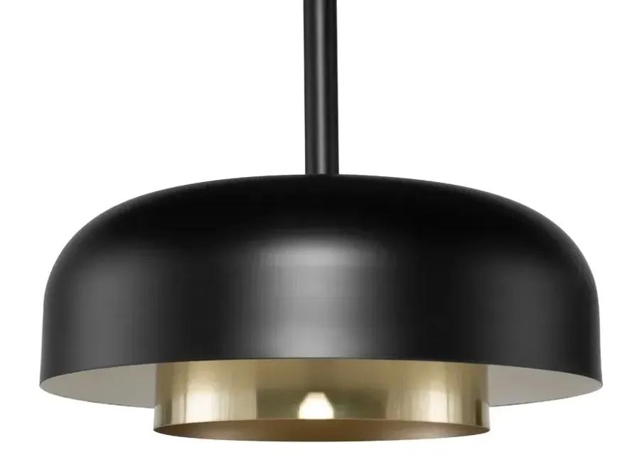 Shaya Pendant Lighting