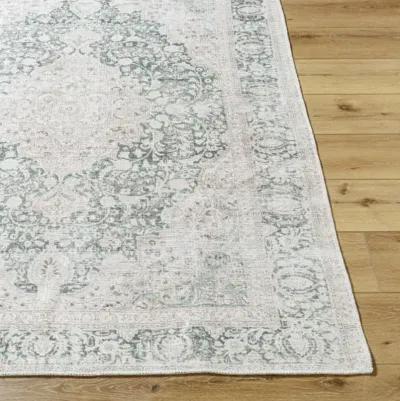 Amelie AML-2393 2'7" x 7'10" Machine Woven Rug