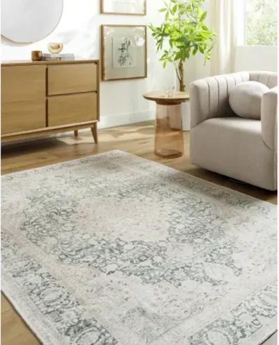 Amelie AML-2393 2'7" x 7'10" Machine Woven Rug