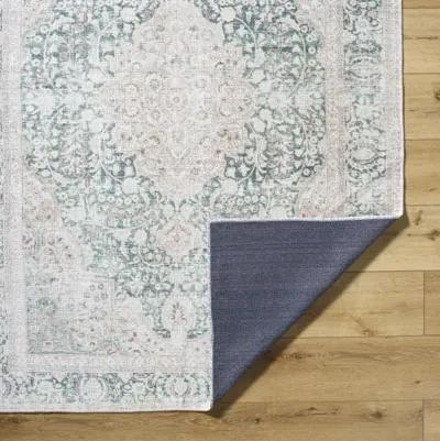 Amelie AML-2393 2'7" x 7'10" Machine Woven Rug