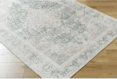 Amelie AML-2393 2'7" x 7'10" Machine Woven Rug