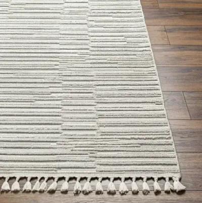 Finland FND-2311 2'7" x 7'3" Machine Woven Rug