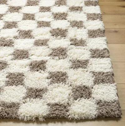 Urban Shag USG-2348 7'10" x 10'2" Machine Woven Rug