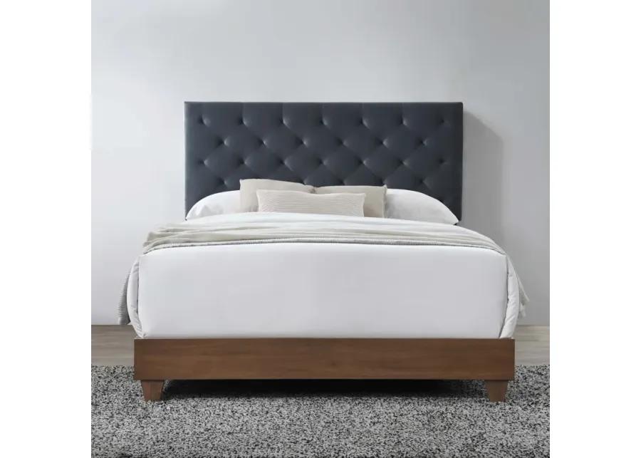 Rhiannon Diamond Tufted Upholstered Performance Velvet Queen Bed