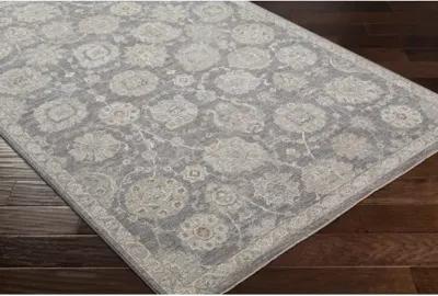 Avant Garde AVT-2336 2'7" x 10' Rug