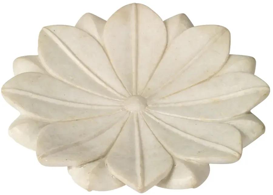 Lotus Plate