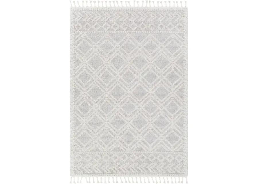 Valencia 5'3" x 7' Rug