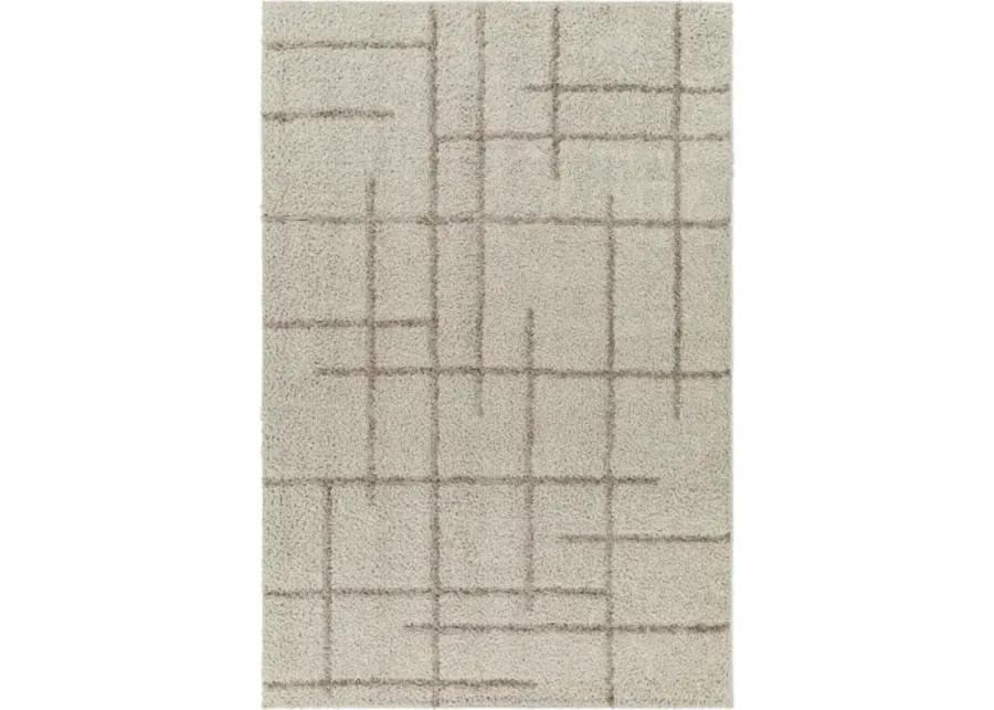 Maryland Shag MSG-2306 7'10" x 10' Machine Woven Rug