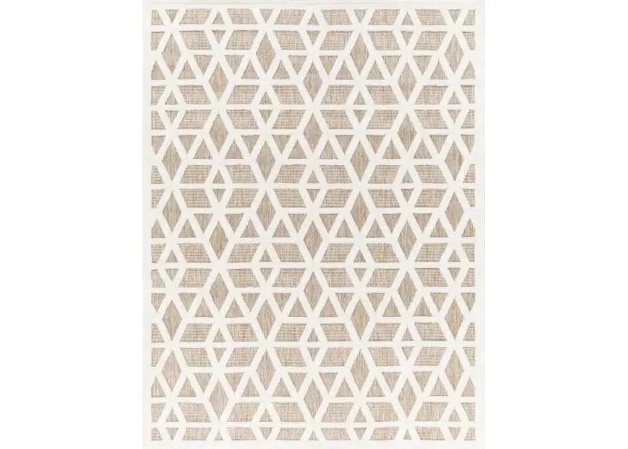 San Diego SFG-2309 6'7" x 9' Machine Woven Rug