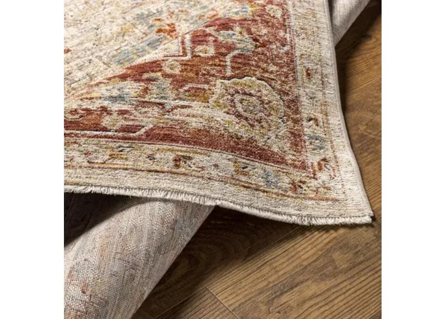 Aspendos APS-2308 2'7" x 10' Rug