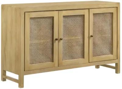 Abbey Rectangular 3-Door Accent Cabinet