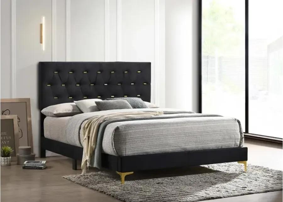 Kendall Tufted Panel Queen Bed Black and Gold