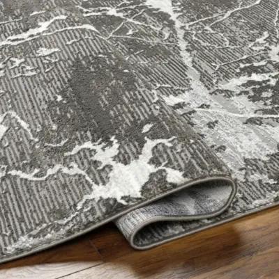 Alder ALD-2312 7'7" x 10' Machine Woven Rug