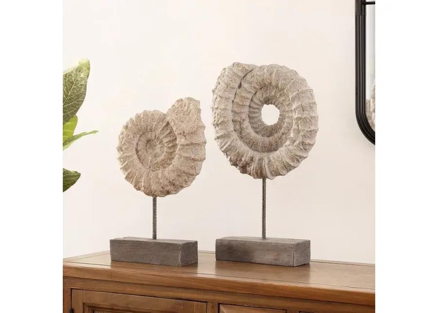 TOREN SET OF 2 AMMONITE SHELL TABLE DECOR