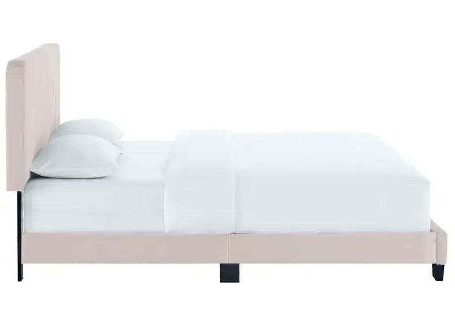 Celine Channel Tufted Performance Velvet King Platform Bed