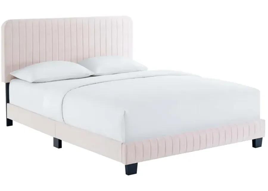 Celine Channel Tufted Performance Velvet King Platform Bed