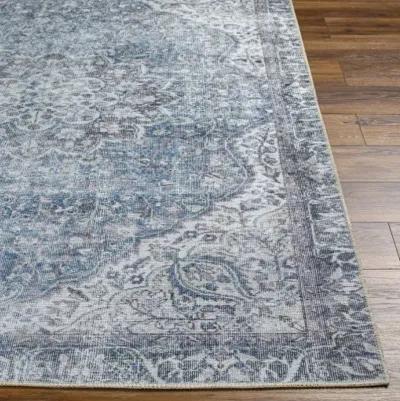 Amelie AML-2364 8'10" x 12' Machine Woven Rug