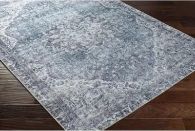 Amelie AML-2364 8'10" x 12' Machine Woven Rug