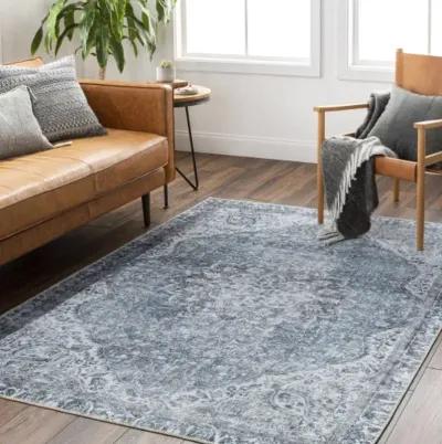 Amelie AML-2364 8'10" x 12' Machine Woven Rug