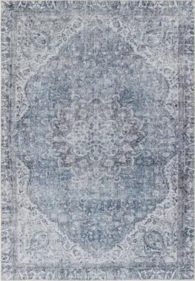 Amelie AML-2364 8'10" x 12' Machine Woven Rug