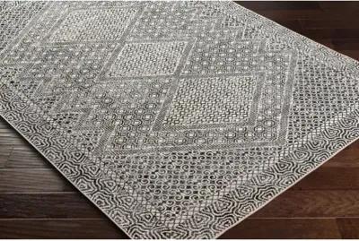 Lavadora 9'3" x 12' Rug