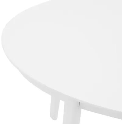 Atle 54"x34" Oval Dining Table in Matte White