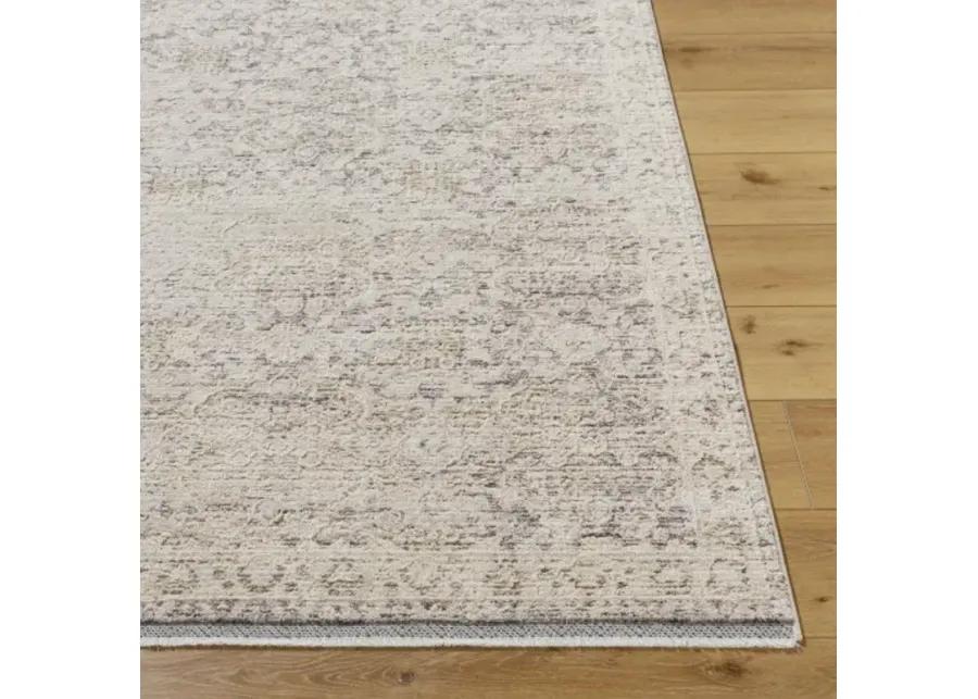 Rivaldo RVD-2311 2'4" x 3'9" Machine Woven Rug