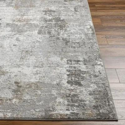 Allegro Plus AGP-2301 4'3" x 6'1" Machine Woven Rug