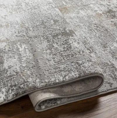 Allegro Plus AGP-2301 4'3" x 6'1" Machine Woven Rug