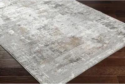 Allegro Plus AGP-2301 4'3" x 6'1" Machine Woven Rug