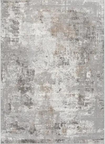 Allegro Plus AGP-2301 4'3" x 6'1" Machine Woven Rug