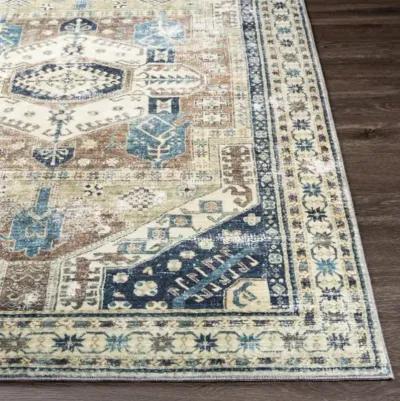 Erin ERN-2303 2'6" x 7'6" Rug