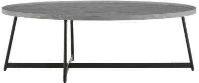 Niklaus 47" Oval Coffee Table in Gray with Black Base