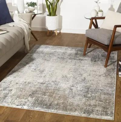 Norland 7'10" x 10' Rug