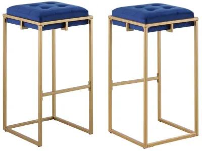 Nadia Square Padded Seat Bar Stool (Set of 2) Blue and Gold