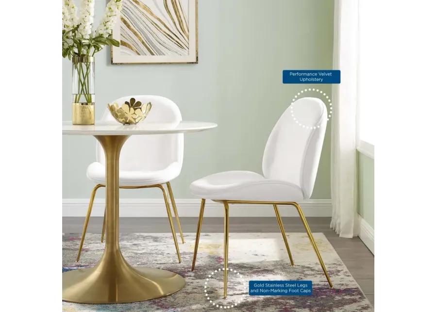 Scoop Gold Stainless Steel Leg Performance Velvet Dining Chair