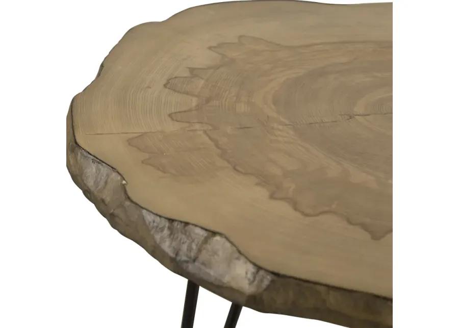 Runay Wood Slab Side Table