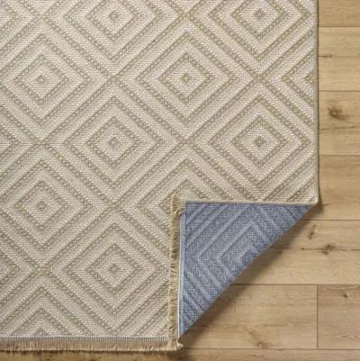 Mystery MYS-2306 27" x 45" Machine Woven Rug