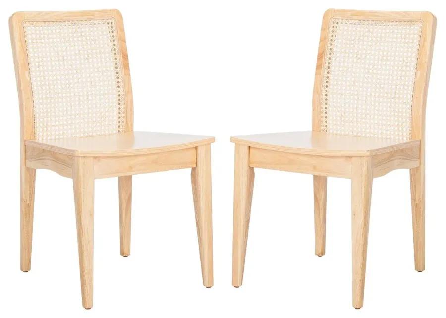 BENICIO RATTAN DINING CHAIR  - Set of 2