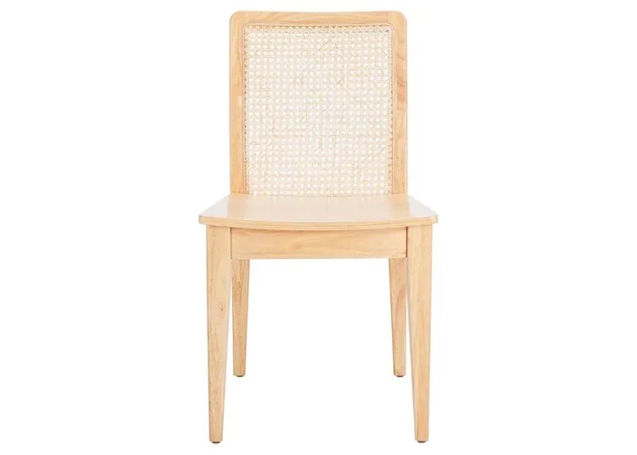 BENICIO RATTAN DINING CHAIR  - Set of 2