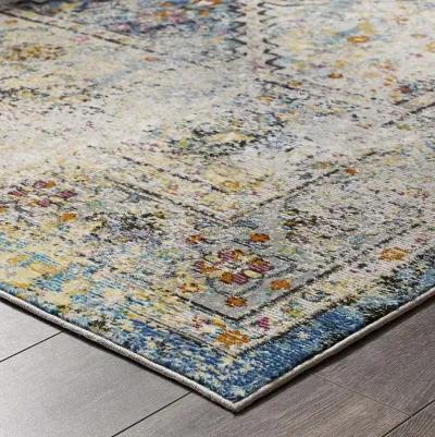 Success Jacinda Distressed Vintage Floral Persian Medallion 5x8 Area Rug