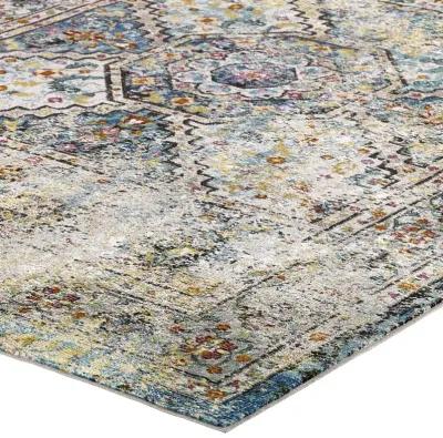 Success Jacinda Distressed Vintage Floral Persian Medallion 5x8 Area Rug