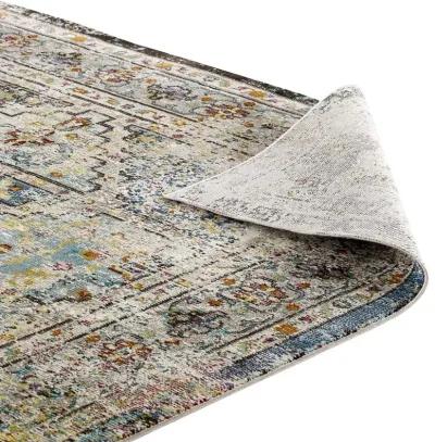 Success Jacinda Distressed Vintage Floral Persian Medallion 5x8 Area Rug