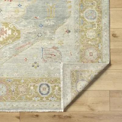 Anatolia ANY-2309 2' x 3' Handmade Rug