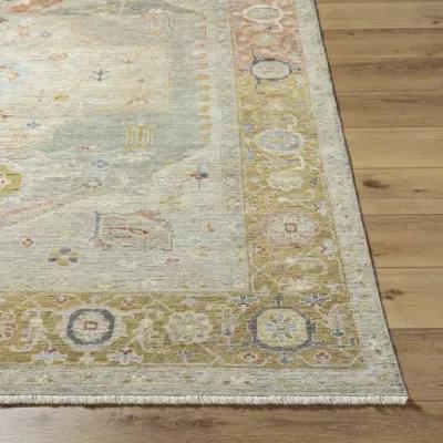 Anatolia ANY-2309 2' x 3' Handmade Rug