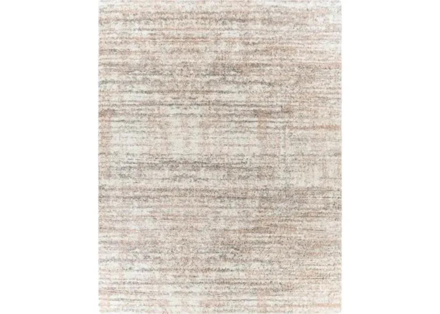 Aliyah shag 6'7" x 9' Rug