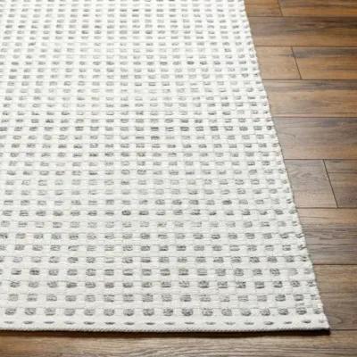 Ariel AIL-2300 2' x 3' Hand Made Rug