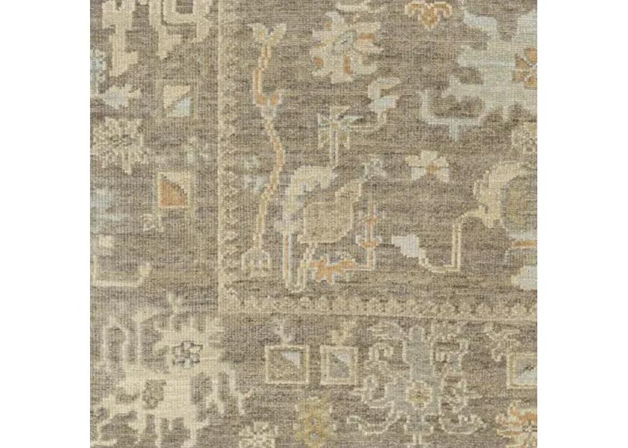 Antalya AAT-2303 8' x 10' Handmade Rug