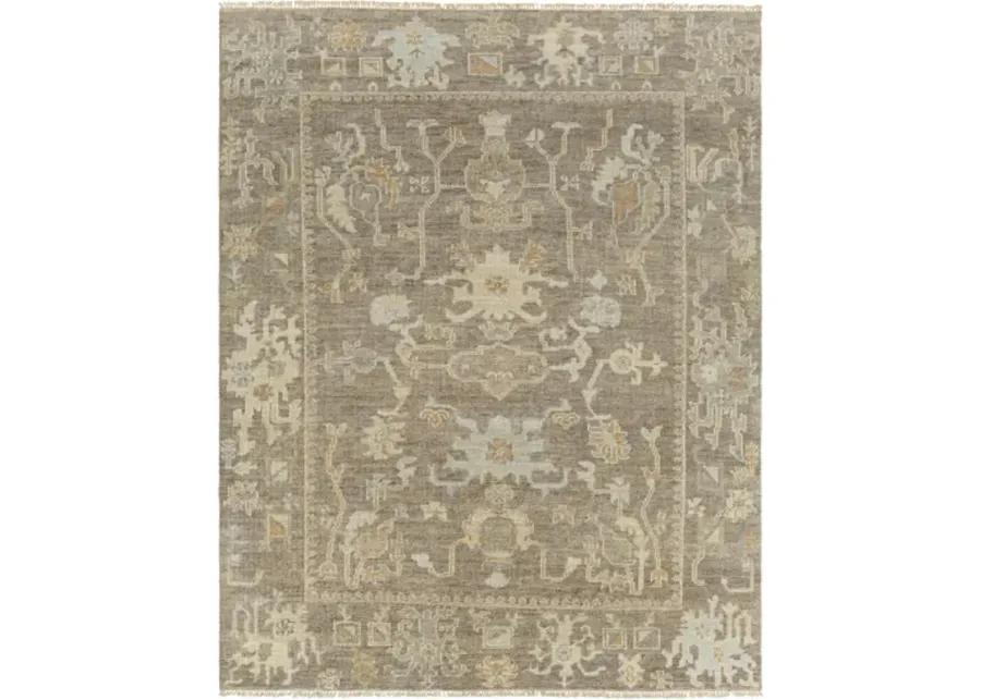 Antalya AAT-2303 8' x 10' Handmade Rug